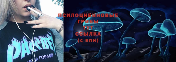 хмурый Балабаново