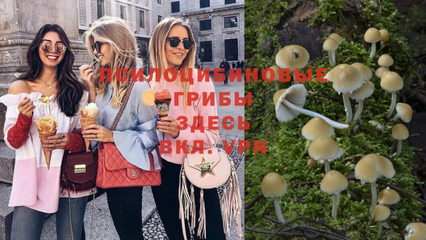 PSILOCYBIN Баксан