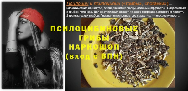 PSILOCYBIN Баксан