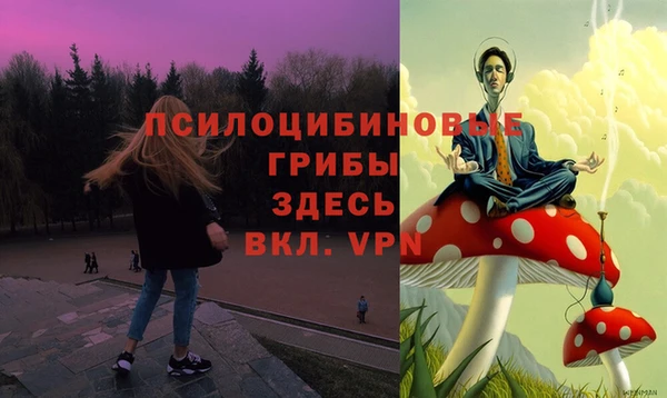первитин Балахна