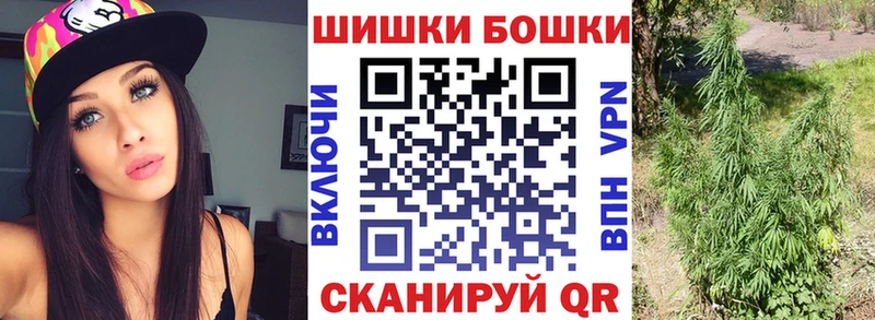 Купить где  Заринск  Конопля OG Kush 
